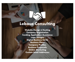 we offer consulting business services