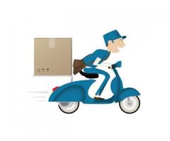 Overnight Courier Services