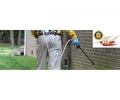Pest Control Pros (Pty) Ltd