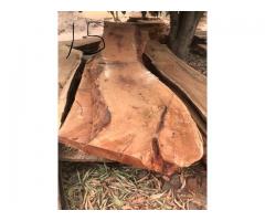 Wood Slabs and disks