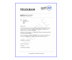 Telegram Delivery