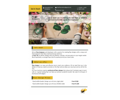 Business Flyer designers