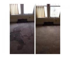 Carpet Cleaning, Upholstery, pre/post occupational cleaning, maid service,window cleaning, painting