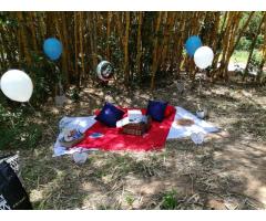 Romantic picnic  setups
