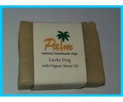 Palm Dog Shampoo Bar