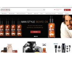 Readymade Dropshipping Stores