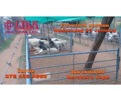 Livestock for sale Hartswater Northern Cape
