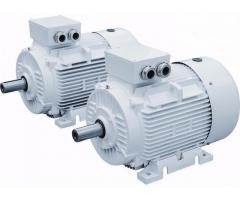 SS-T72 INDUCTION MOTORS 4 POLE 185KW