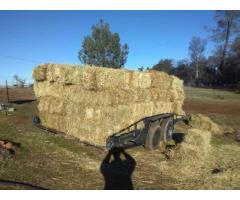 Hay good orchard grass great horses, cows, goats, sheep hauling