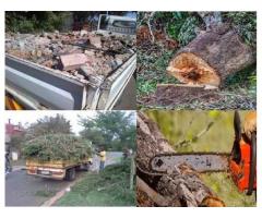 RUBBLE REMOVAL, TREE FELLING, DEMOLITION, SITE CLEARANCE