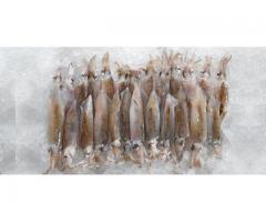 Fresh Frozen Seafood for Sale - prawns, shrimp, langoustines, crab