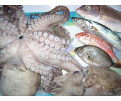 Fresh Frozen Seafood for Sale - prawns, shrimp, langoustines, crab
