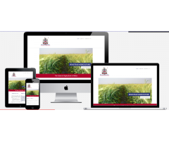 Website Development and Maintenance services in Port Elizabeth