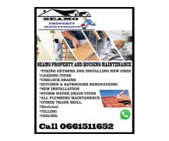 Plumbing services, roofing repairs, all house maintenance services