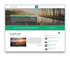 Website Design and Graphic Design