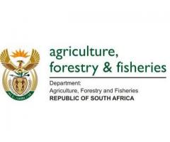 Aberdeen Weed Control / Weed Killer Treatments