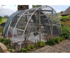 Aviaries | Chicken Coops | Bunny Hatch