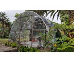 Aviaries | Chicken Coops | Bunny Hatch