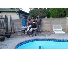 Repairs of pools