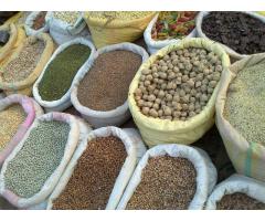 Feeds, Fruits, Vegetable, Oil Seeds, Pulses, Grains, Spices For Sale