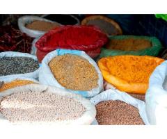 Feeds, Fruits, Vegetable, Oil Seeds, Pulses, Grains, Spices For Sale