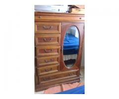 Chest of drawers oak tree