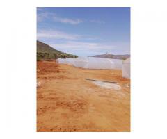 Greenhouses for sale Pretoria | Greenhouses for sale