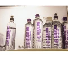 PH10 DESIGNER WATER