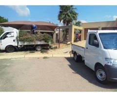 Tree Felling Masters Pretoria Gauteng