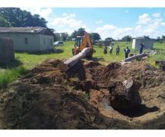 Tree Felling Masters Pretoria Gauteng