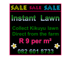 Instant Lawn - ** SALE ** - Kikuyu Lawn