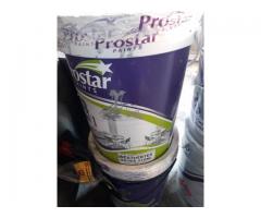 Weather guard paint