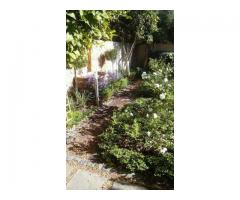 Irrigation