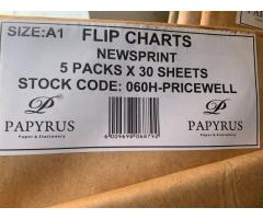 FLIP CHARTS X5 IN A PACK