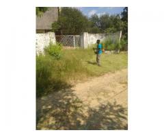 Bush, Site, Plot, Farm Clearing and Yard Clean up