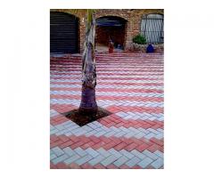 Paving, Renovations, Landscaping