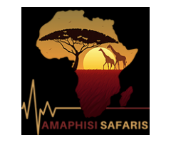 Amaphisi Safaris