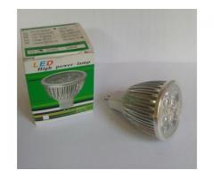 LED Light Bulbs