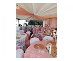 CARNATIONS AND DECORATION SERVICES CALL 0622095628
