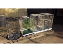 Bird Cages For Sale