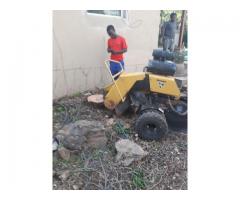 dmike treefelling .transplanting and tree removal