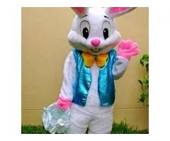 Character Mascots for sale