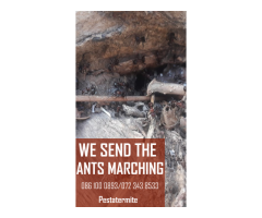 Pest Control - Pestatermite