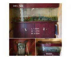 Working Fish tank with Pump and Accessories
