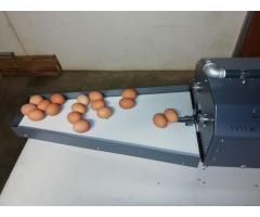 Egg cleaner, washer