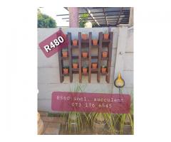 Succulent Wooden Wall Decor