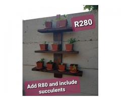 Succulent Wooden Wall Decor