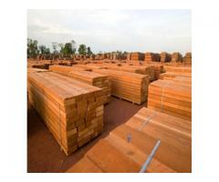 Timber wood and ply wood for exploitation