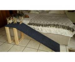 Doggie Ramps