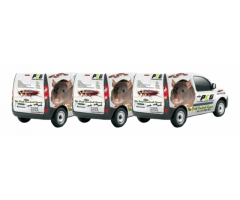 PRO Pest Control Johannesburg